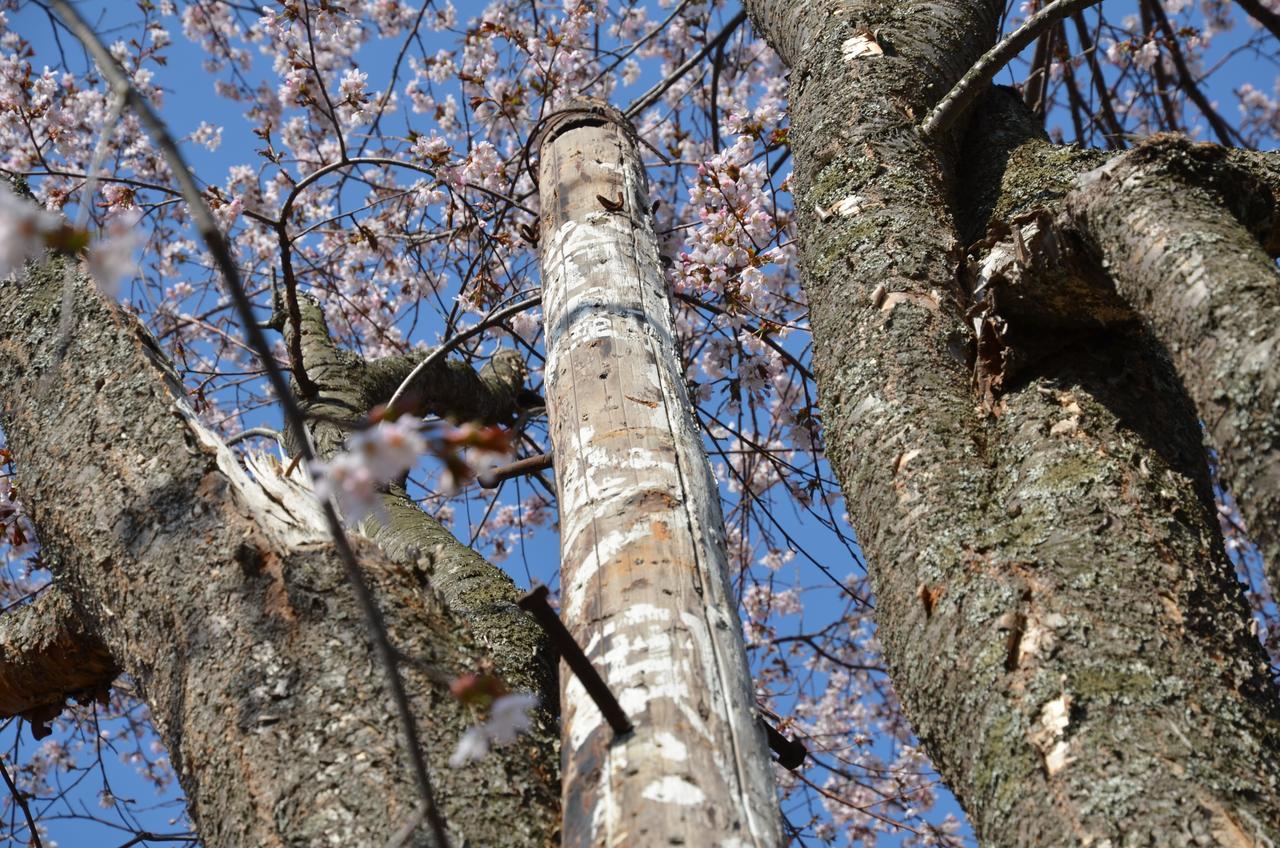 Artinn 極寒藝術伝染装置 Inn Teshikaga